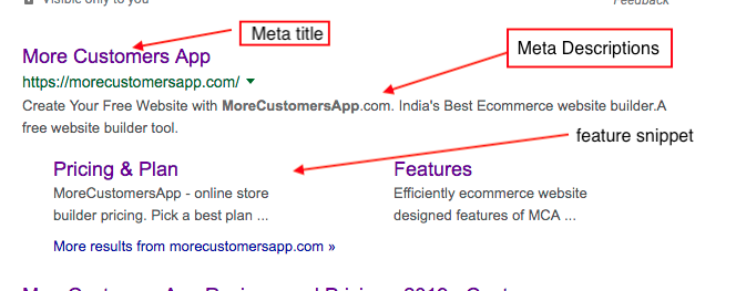 How your metatags looks in google search 
