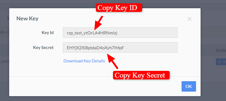 Copy generated API keys